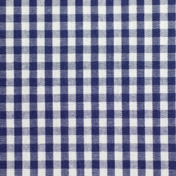 Baumwolle Carro dunkelblau weiß karriert 148cm breit Swafing Canstein
