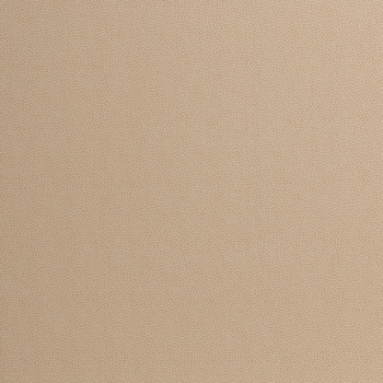 Baumwolle Dotty kleine weiße Punkte auf beige 148 cm breit Swafing