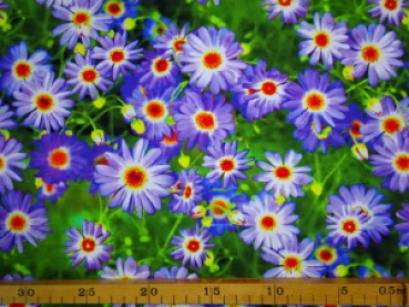 Jersey Digitaldruck lila Blumen grün