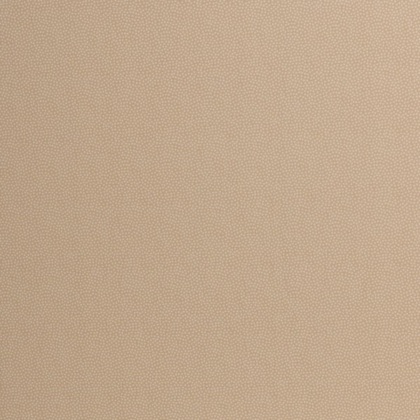 Baumwolle Dotty kleine weiße Punkte auf beige 148 cm breit Swafing